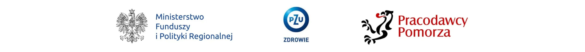 FSD partnerzy